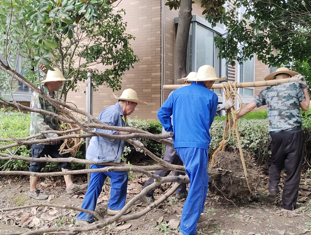 1690868246184993.png @O{`WE)DH0E{XVI5[5(Z(}L.png